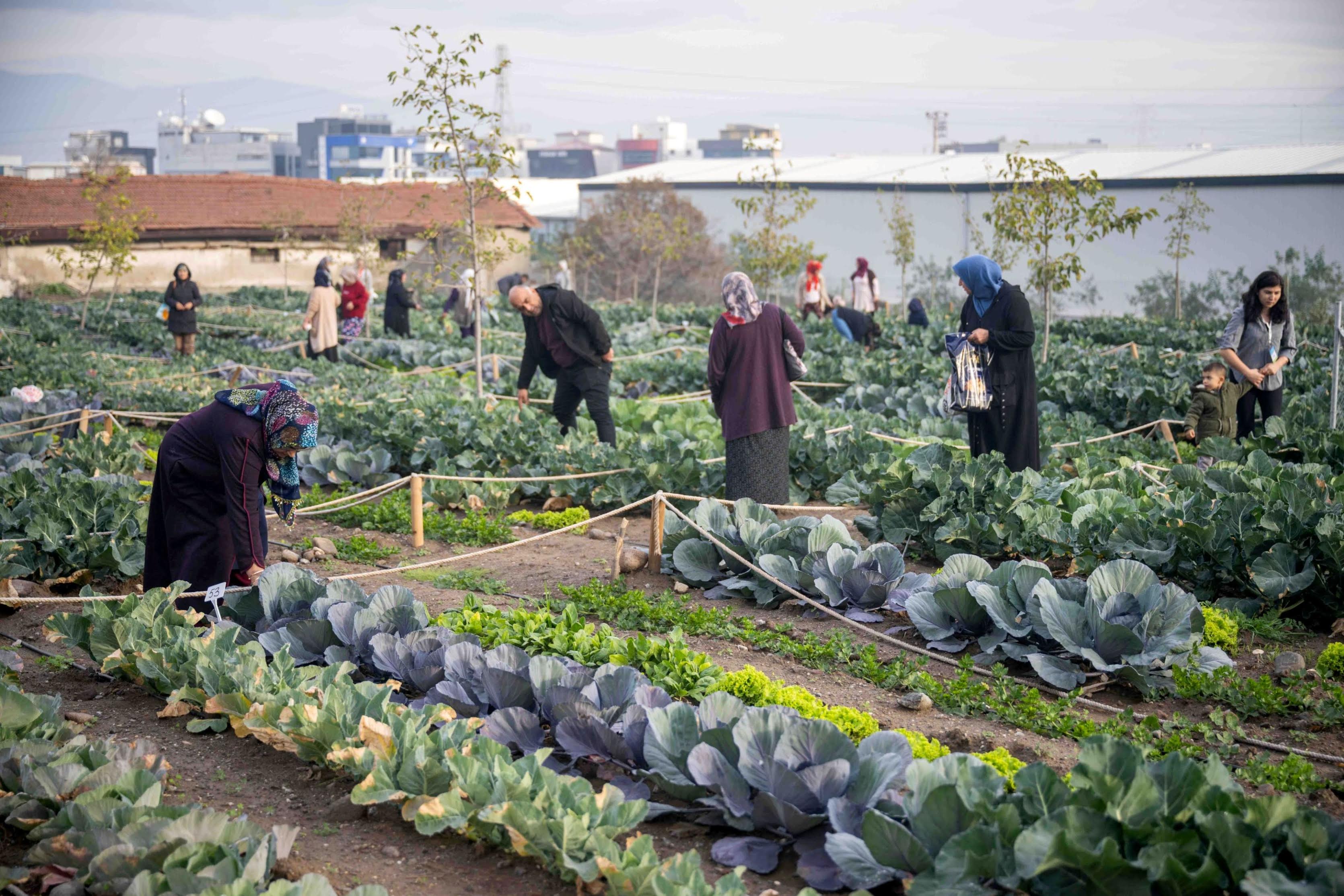 Bornova Belediyesi’nden büyük atılım: 2025 dönüşüm yılı oldu