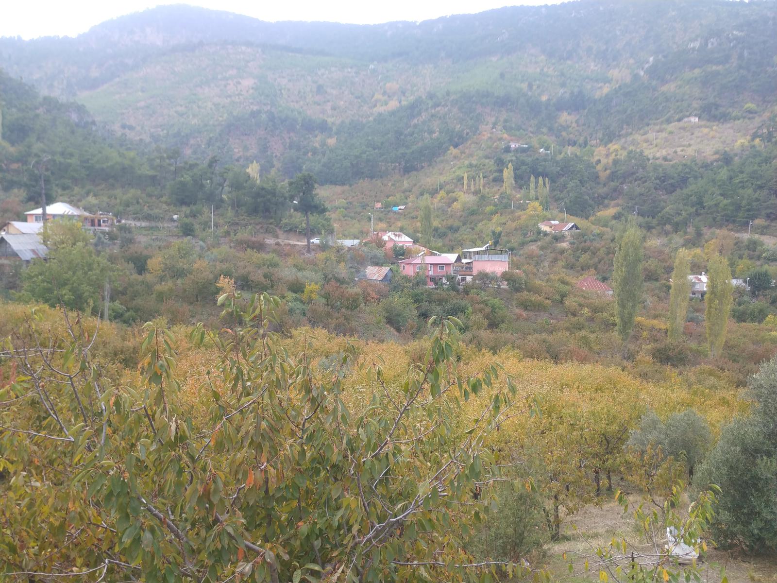 İzmir’in Küçük Gümüşhane’si: Ormanın içinde tam bir oksijen deposu