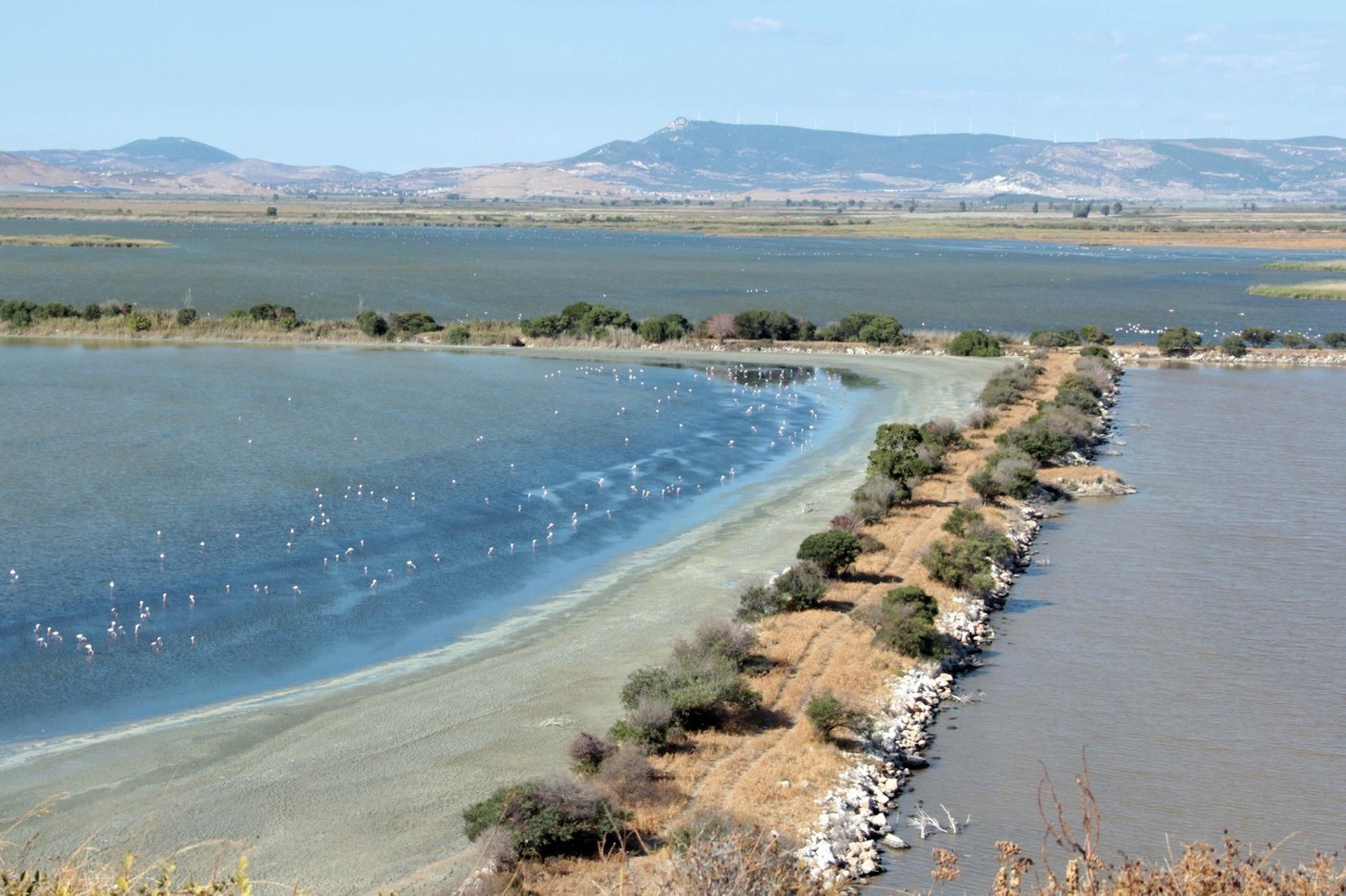 İzmir’in ortasında saklı bir ada: Leukai Antik Kenti’nin şaşırtıcı hikayesi