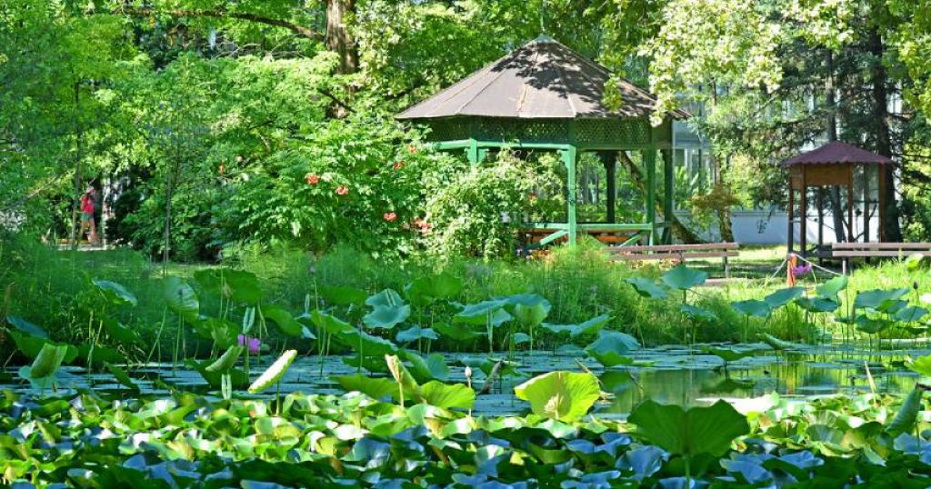 Türkiye’de tek: İzmir’in bu doğa cenneti görenleri büyülüyor