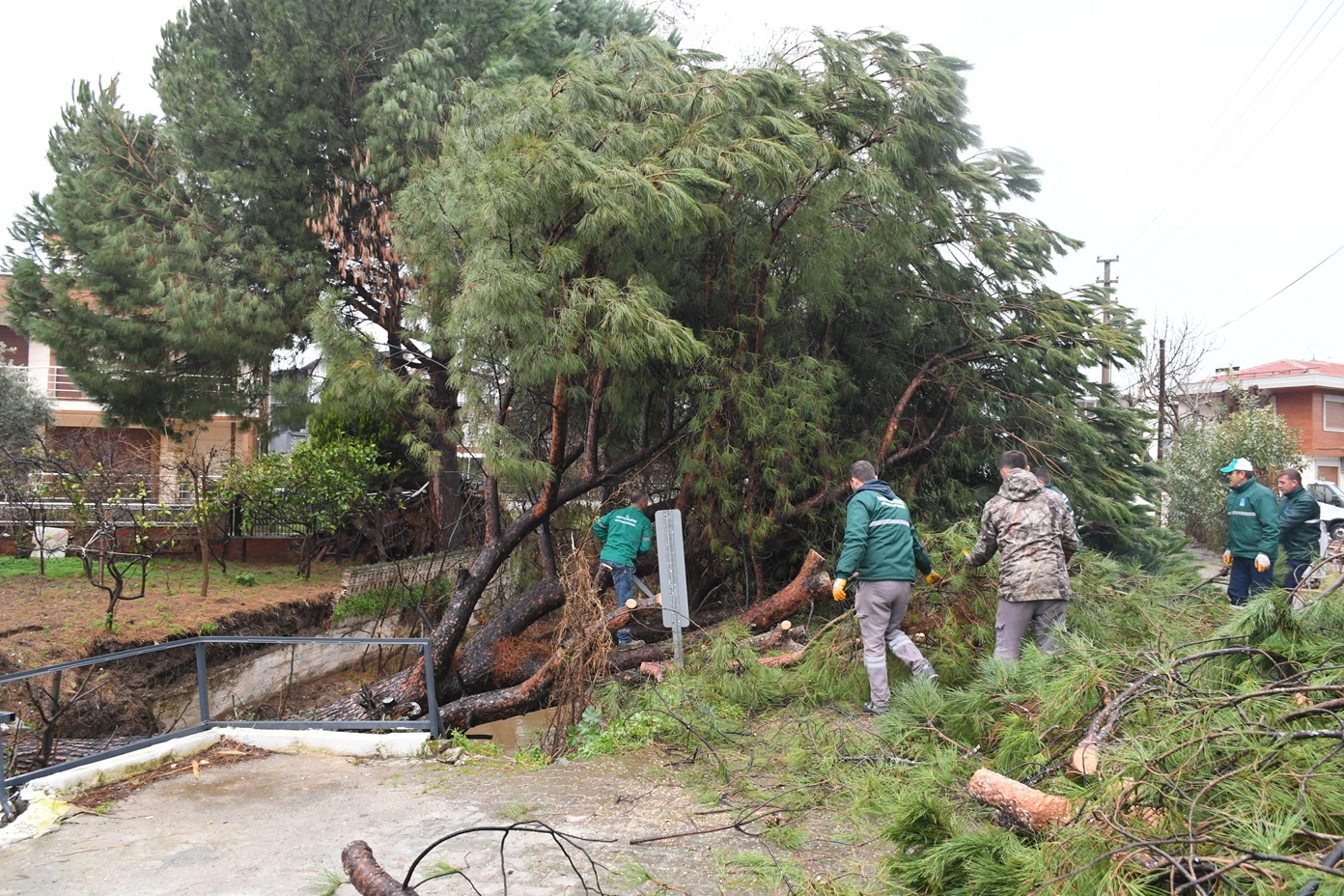 Devrilen Çam Ağacı Dereyi Kapattı Taşkın Son Anda Önendi (1)