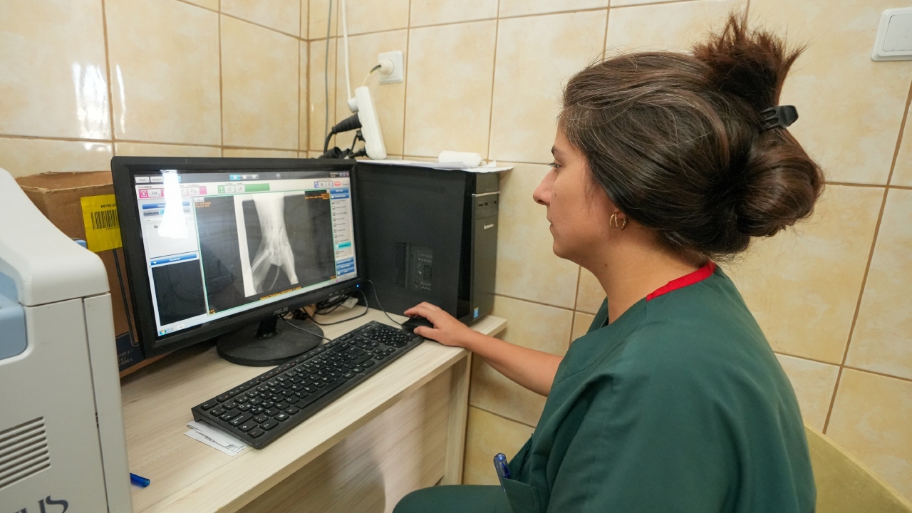 Gaziemir Belediyesi'nden Can Dostlara Şefkat Eli Binlerce Hayvana Sağlık Ve Umut