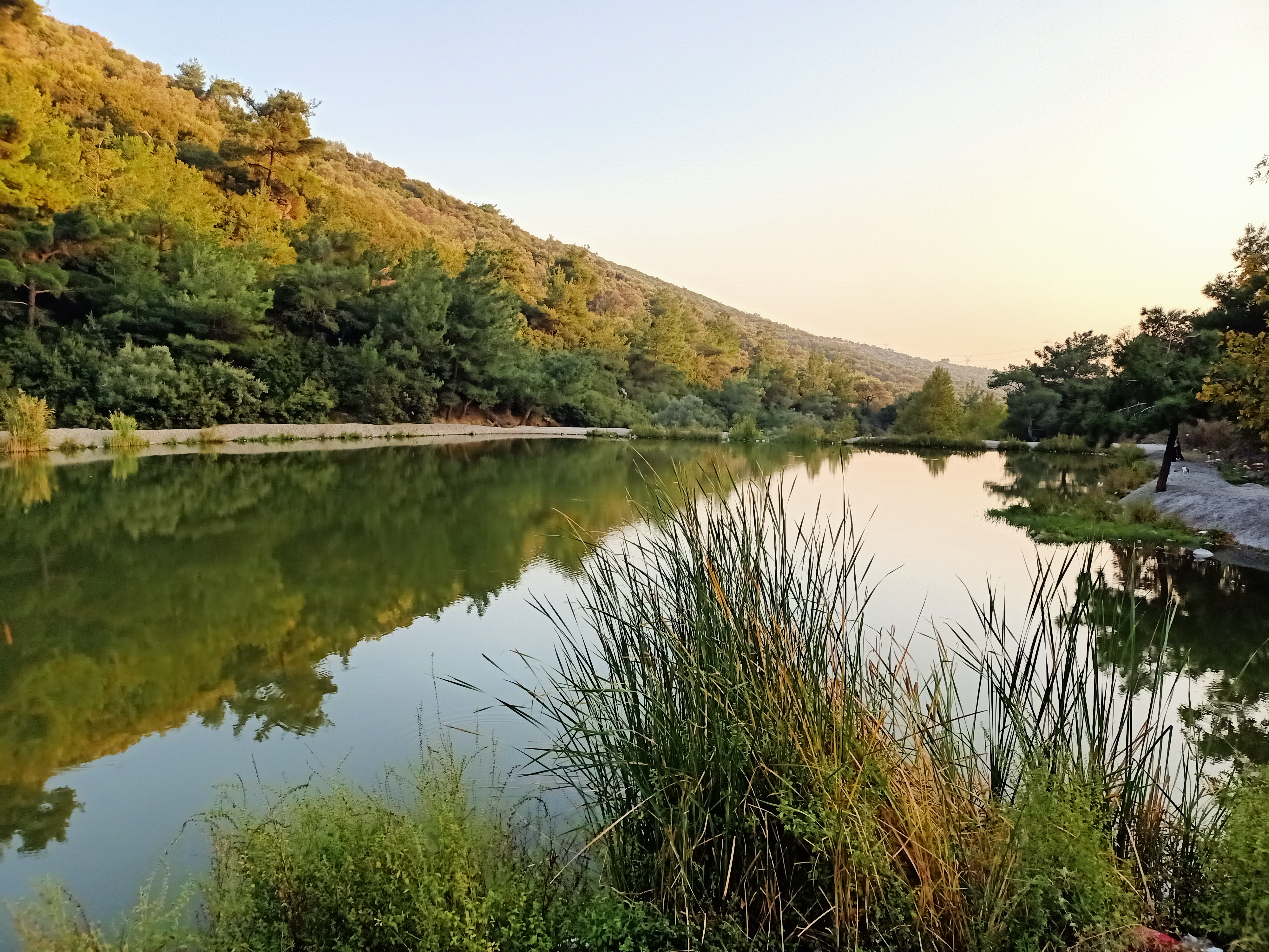 Homeros Vadisi nerede ve nasıl gidilir Hafta sonu için İzmir'in en iyi doğa rotası