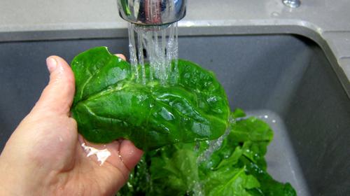 Ispanak Temizliğinde Altın Kural Bu Yöntemi Uygulayan Farkı Görüyor (3)