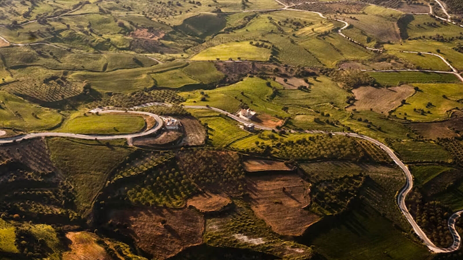 İzmir’de Arsa Talebi Arttı! İstanbul Ve Ankara’dan Gelenler Bu Ilçeyi Seçiyor (1)