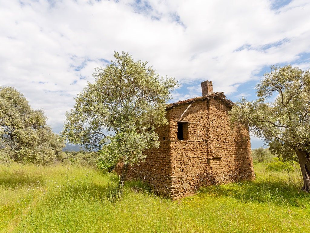 İzmir’de Arsa Talebi Arttı! İstanbul Ve Ankara’dan Gelenler Bu Ilçeyi Seçiyor (2)-1