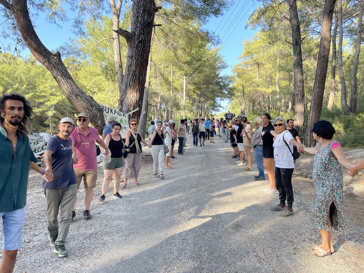 İzmir'in Gürültüsünden Kaçış Bileti Sığacık’tan Lavanta Tarlalarına Seferihisar’da Keşfedilmeyi Bekleyen 10 Yer (2)