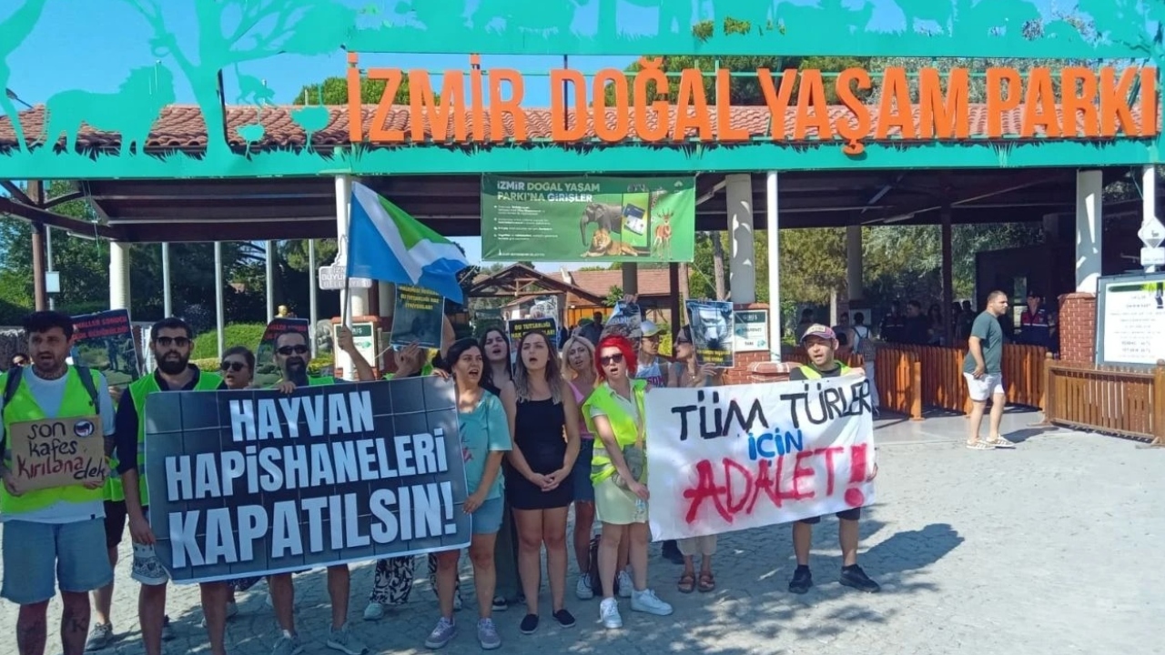 İzmir’in Sembolü Olmuştu Fil Pak Bahadır’ın Yürek Burkan Hikayesi (2)