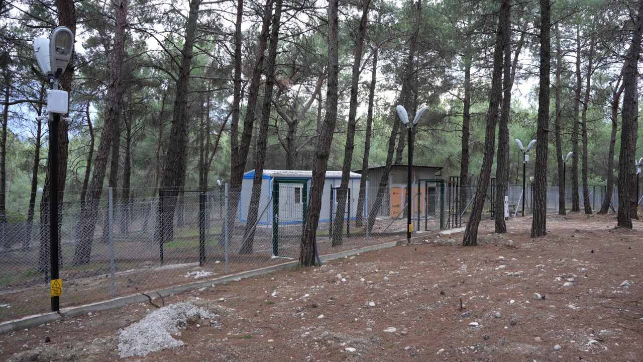 Kemalpaşa’da Sokak Hayvanları Için Büyük Dönüşüm (1)