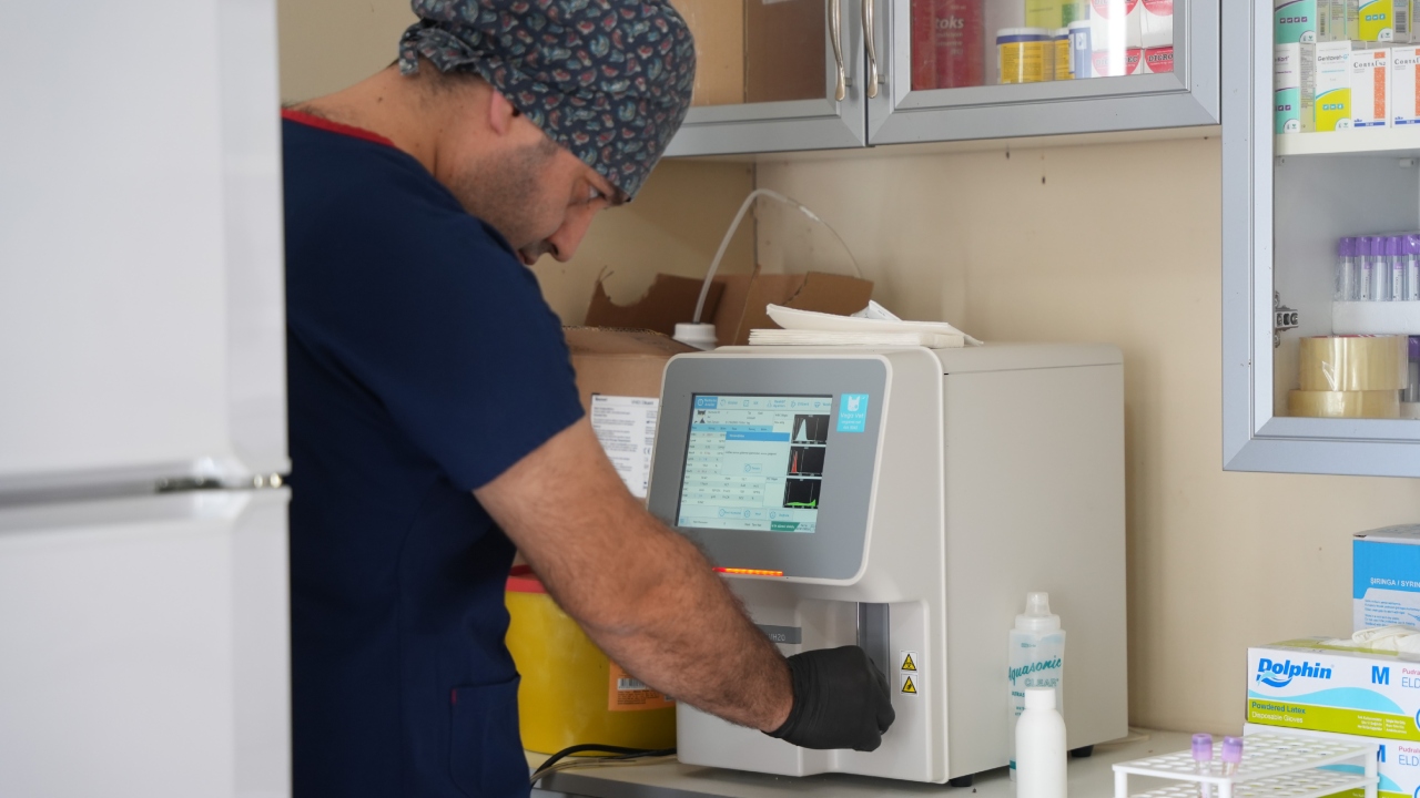 Kemalpaşa’da Sokak Hayvanları Için Büyük Dönüşüm (3)