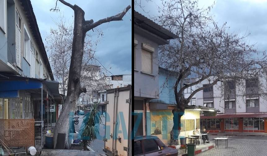 Kınık Kıraathane Görsel