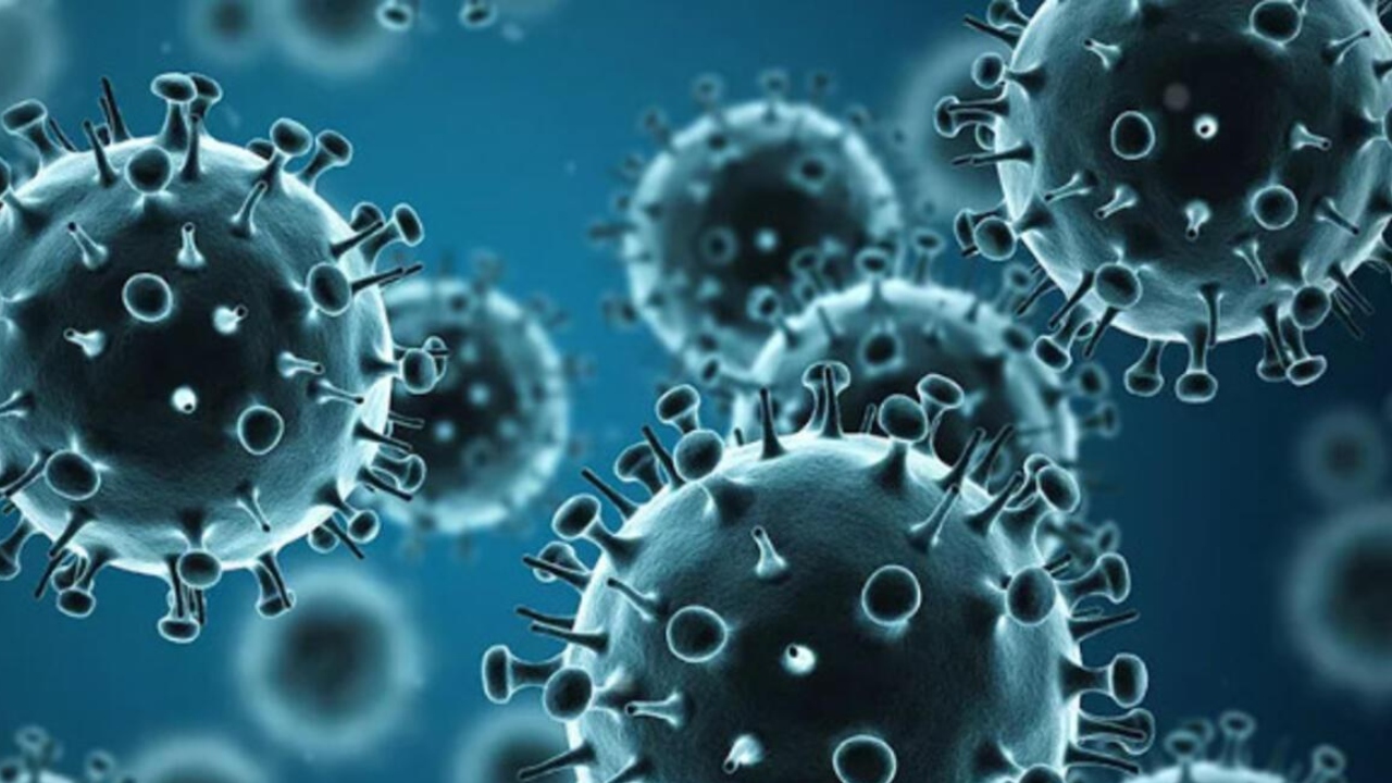 Kış Aylarının Korkutan Hastalığı İnfluenza Nedir, Nasıl Korunulur İnfluenza Belirtileri Nelerdir (1)