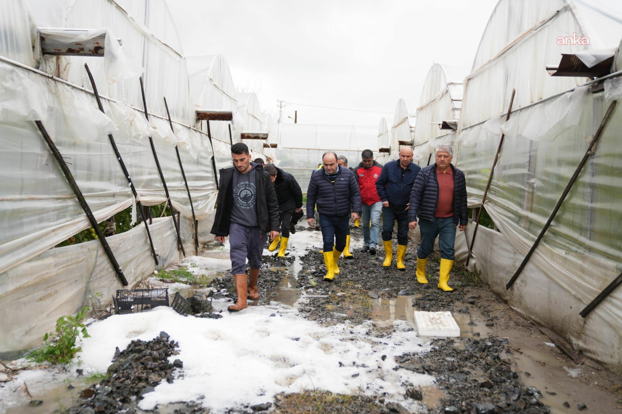 Muğla’da Hortum Ve Dolu Seraları Vurdu Üreticiler Endişeli (1)