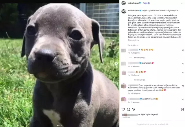 Celil Nalçakan'ın acı günü: Su gibi geldin su gibi gittin kızım...