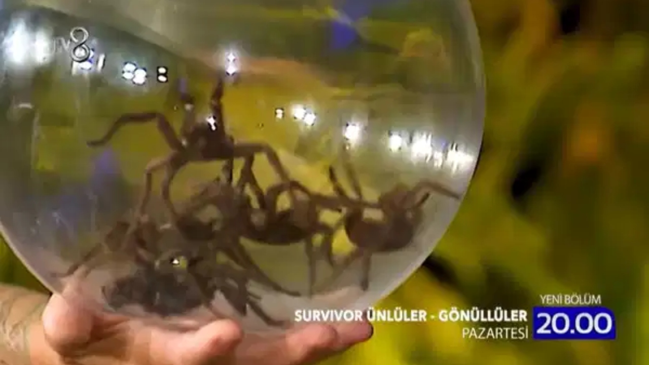 Rtük Engeli Nedeniyle Açıklanmamıştı Survivor’daki Ceza Fragmanda Belli Oldu!