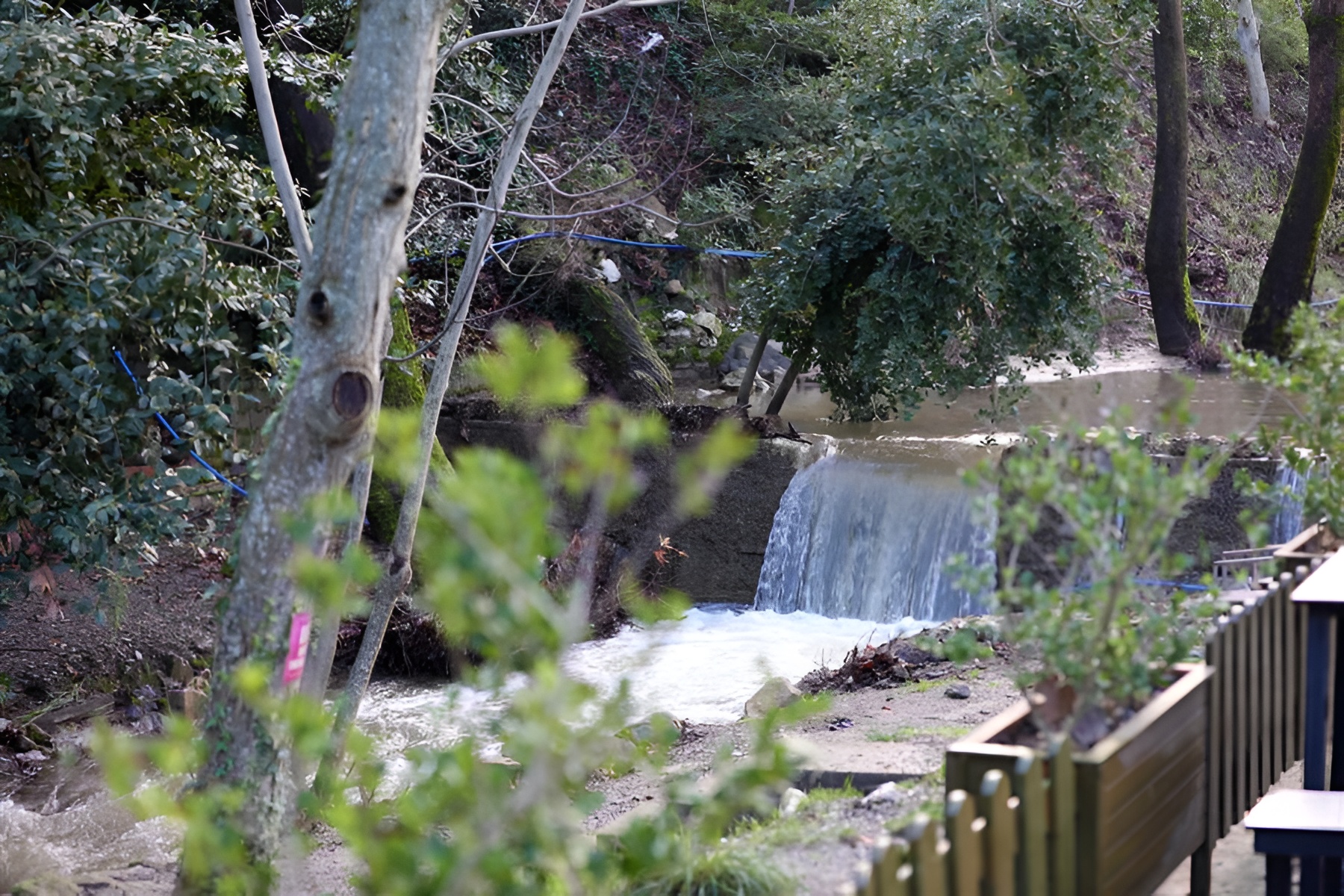 Ormanın içinde hafta sonu kahvaltı yapmak isteyen İzmirlilerin uğrak adresi