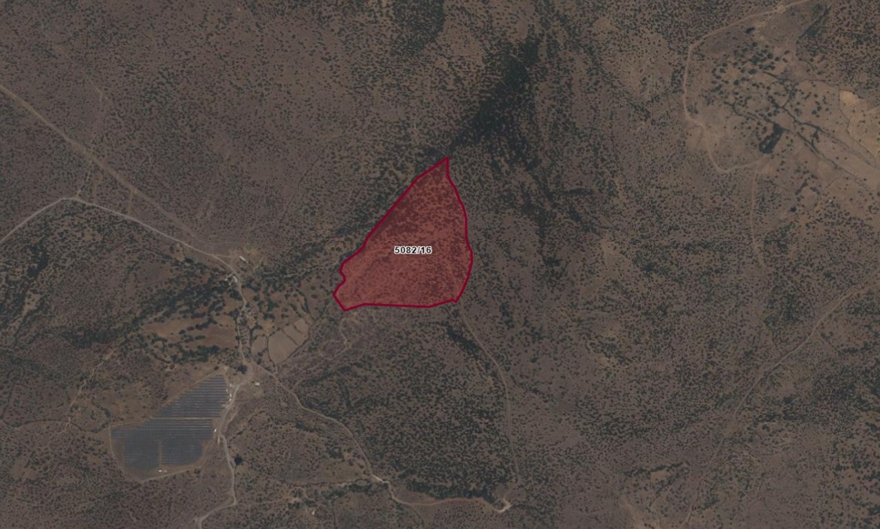 Whatsapp Image 2026 01 13 At 12.58.04 (1)