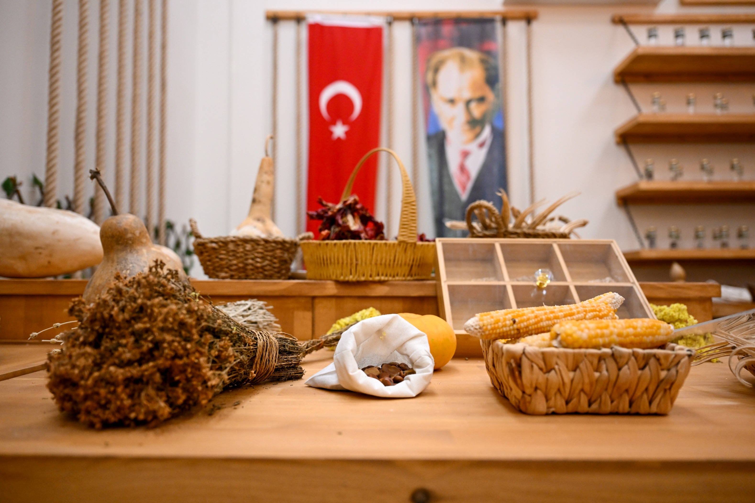 Bornova’da yerel tohumlar geleceğe umut oluyor