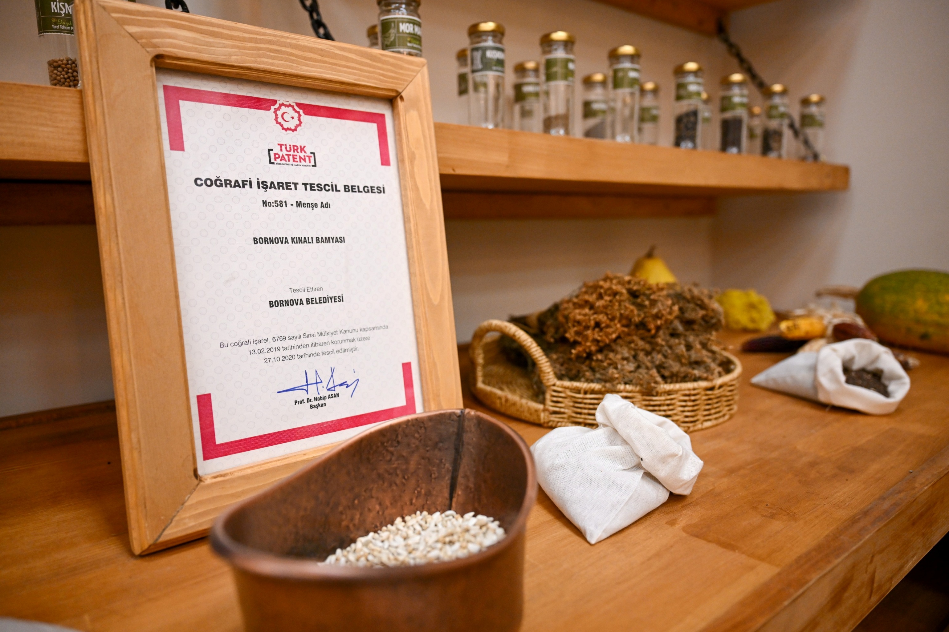 Bornova’da yerel tohumlar geleceğe umut oluyor