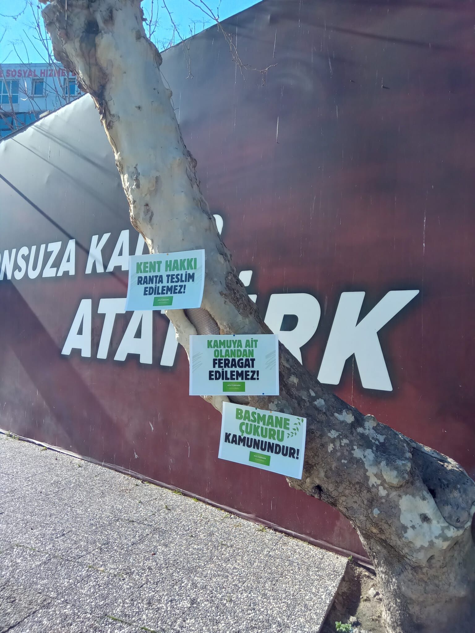 60F204B0 871F 4174 Ad0A D7F56Fd64Cae