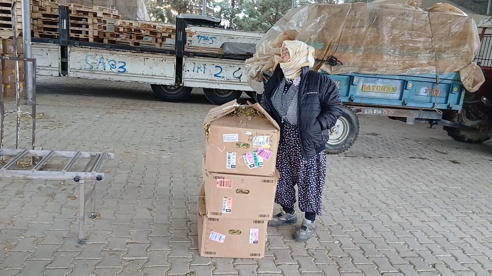 8A91D57D 4E58 4604 9F90 43Aac04696D2