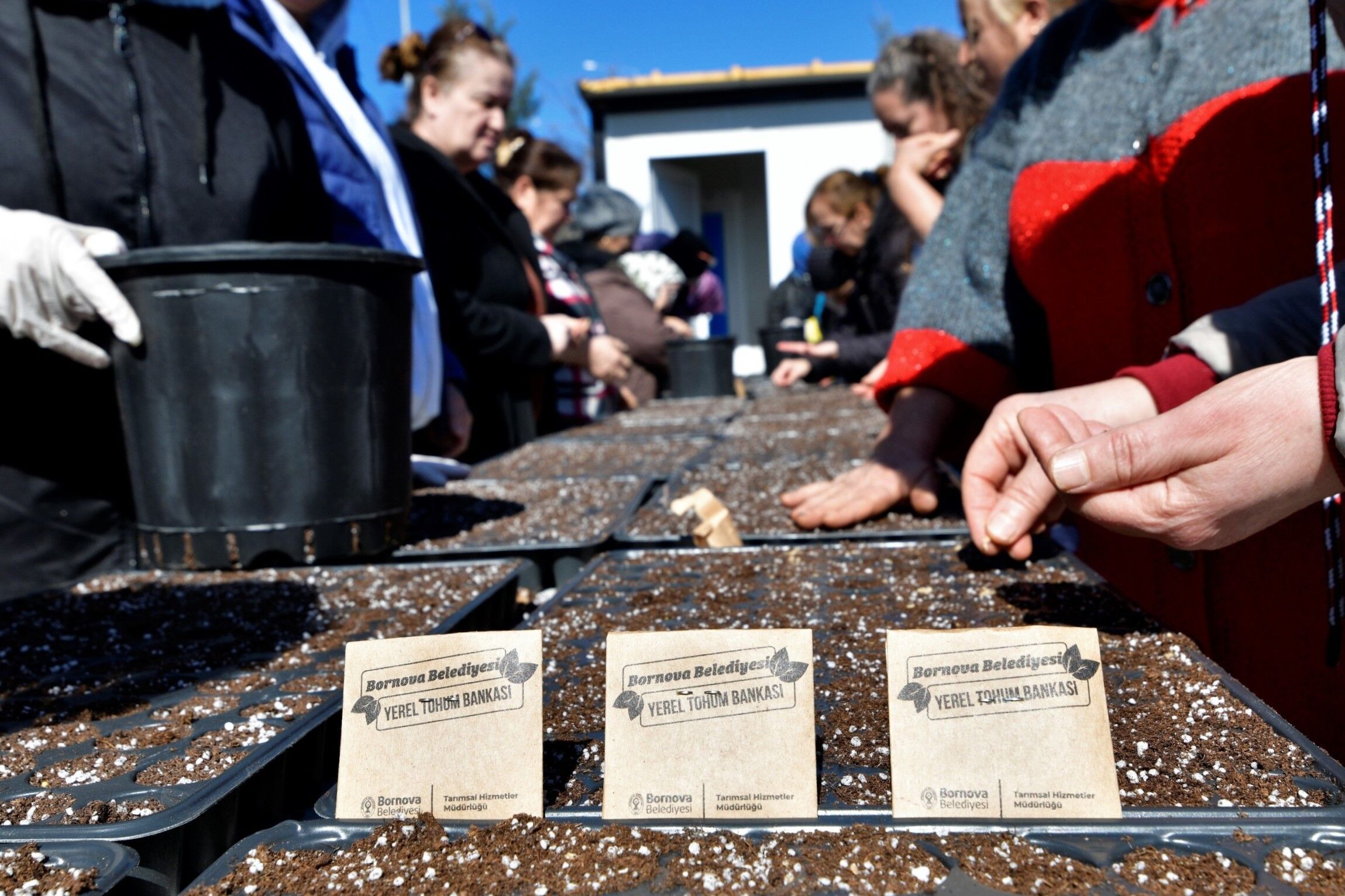 Bornova’nın kent bostanlarında yaz sezonu hazırlıkları başladı-2