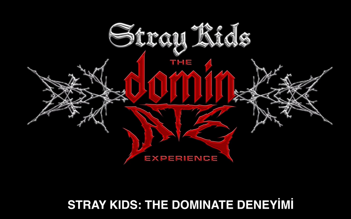 Stray Kids The Dominate Deneyimi Logo