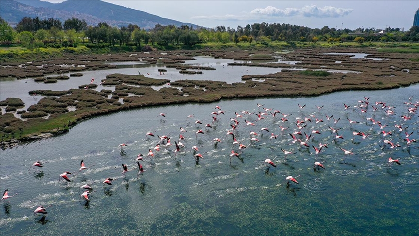 Thumbs B C E3A5E8C43C5F3Ef58232E99B6B0D4B10