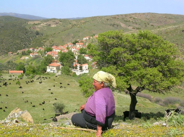 Whatsapp Image 2026 02 09 At 12.57.10