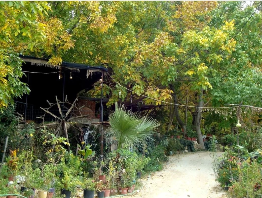 İzmir’in karadut cenneti Cambazlı Köyü