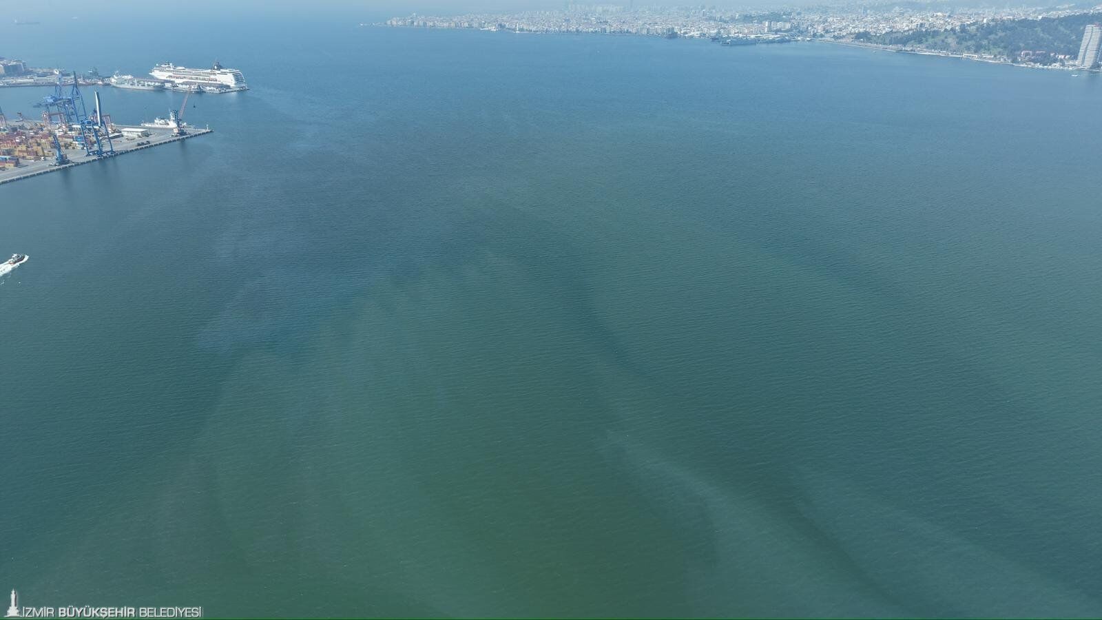 İzmir Körfezi kirletiliyor: Kasım ayından bu yana 8 kez yaşandı
