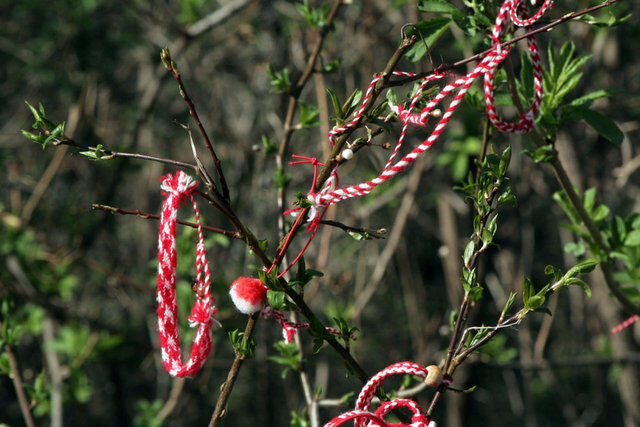 3569545 38365A22Ee4A058D38035Ad99Aea4Aee 640X640