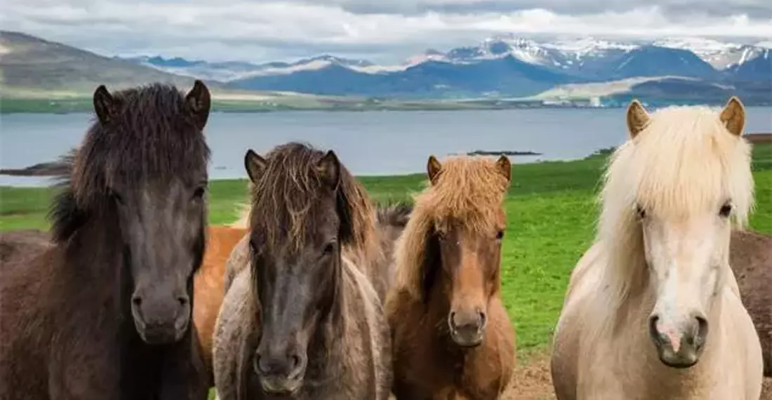 6175Da4445D2A0A10418D192