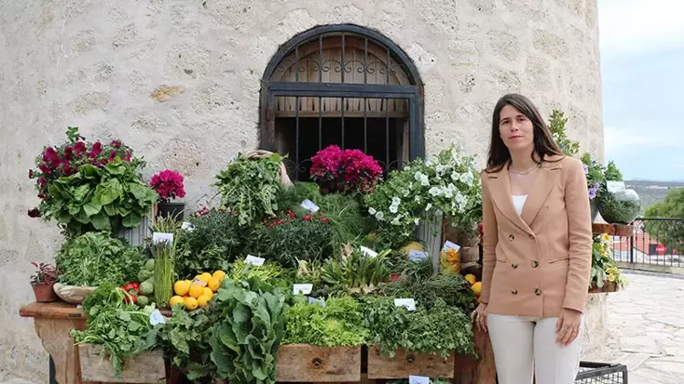 661281493232408A0D84295A