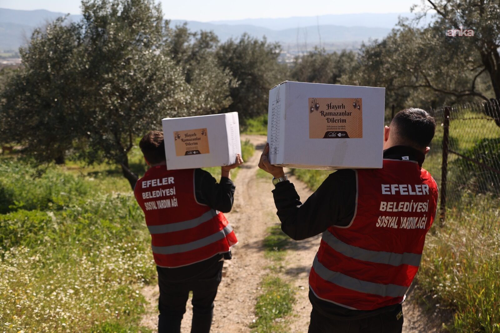 6Dbcffea 1Cda 4E90 8Eba C819E52E8Ea9 W