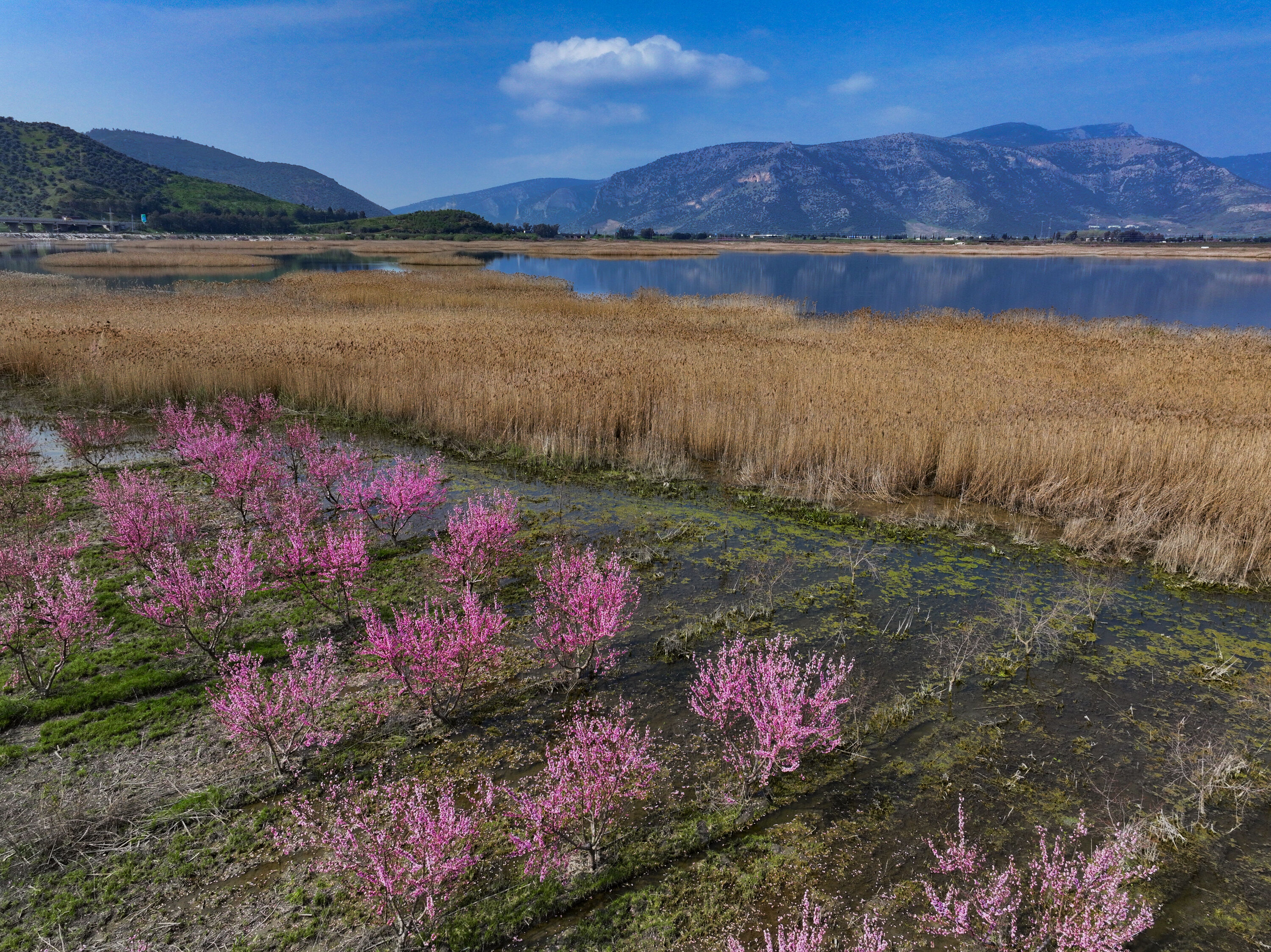 A A 20260327 40937610 40937593 I Z M I R D E P E M B E C I C E K A C A N S E F T A L I A G A C L A R I B A H C E L E R E R E N K K A T T I