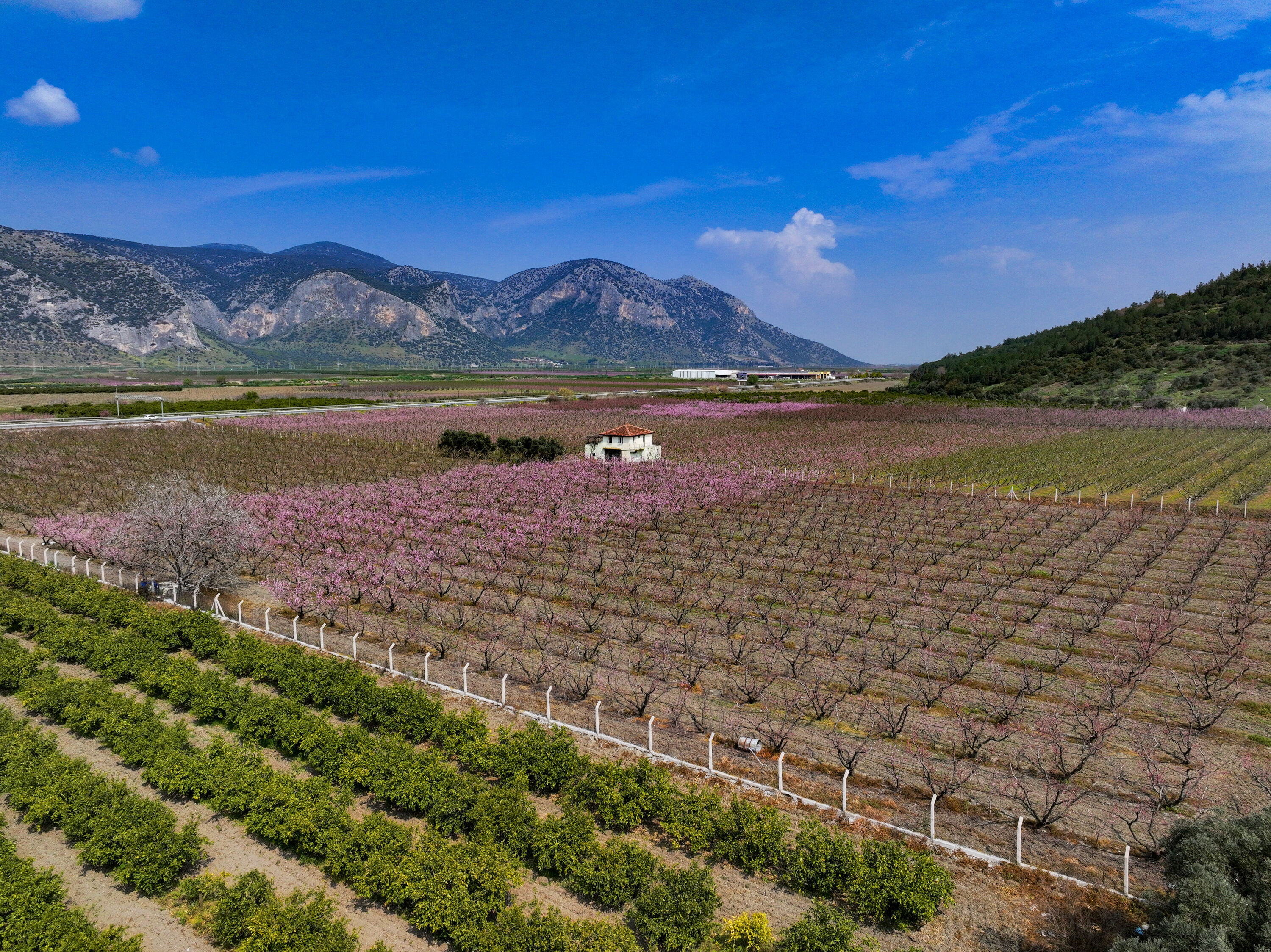 A A 20260327 40937610 40937595 I Z M I R D E P E M B E C I C E K A C A N S E F T A L I A G A C L A R I B A H C E L E R E R E N K K A T T I