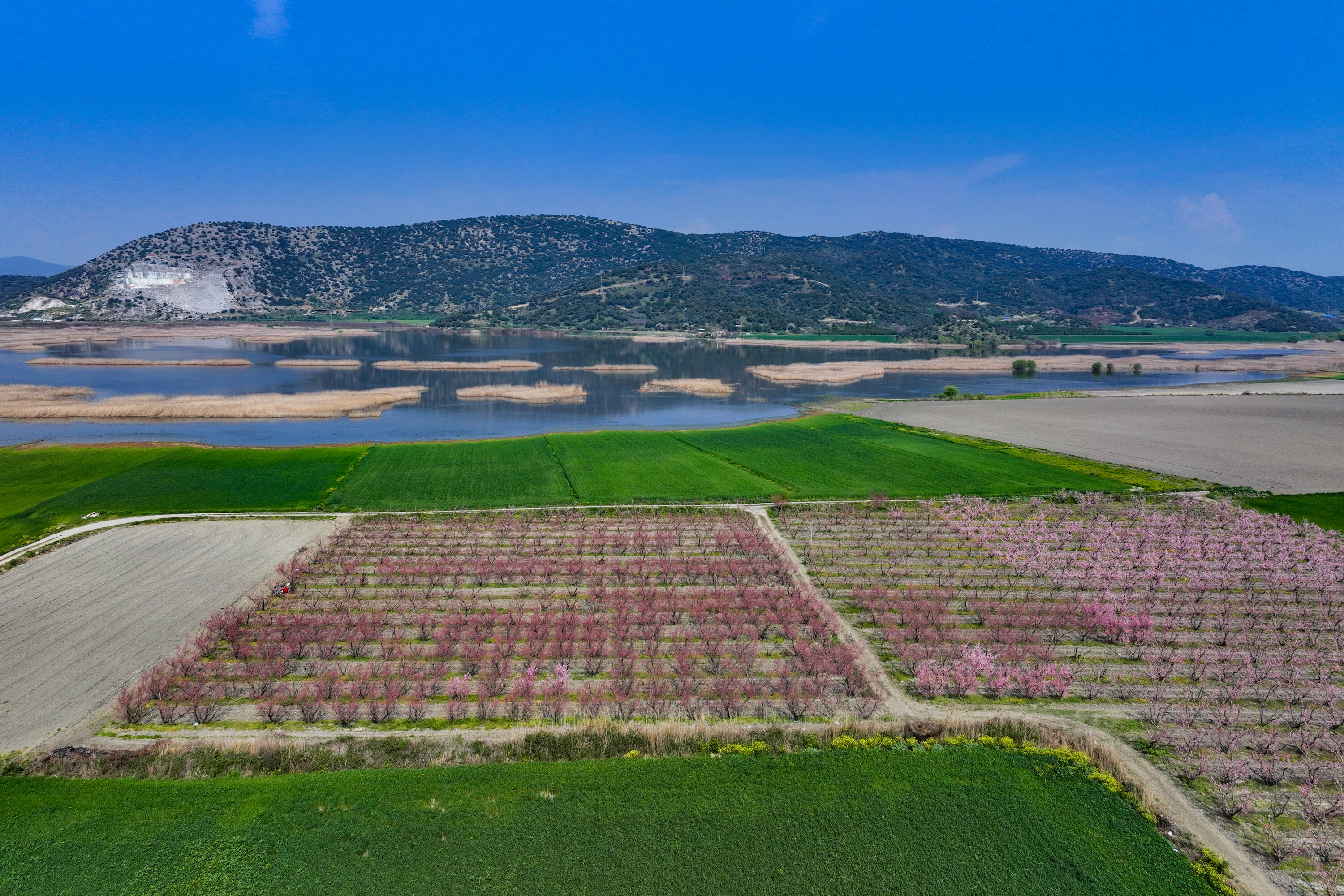 A A 20260327 40937610 40937596 I Z M I R D E P E M B E C I C E K A C A N S E F T A L I A G A C L A R I B A H C E L E R E R E N K K A T T I