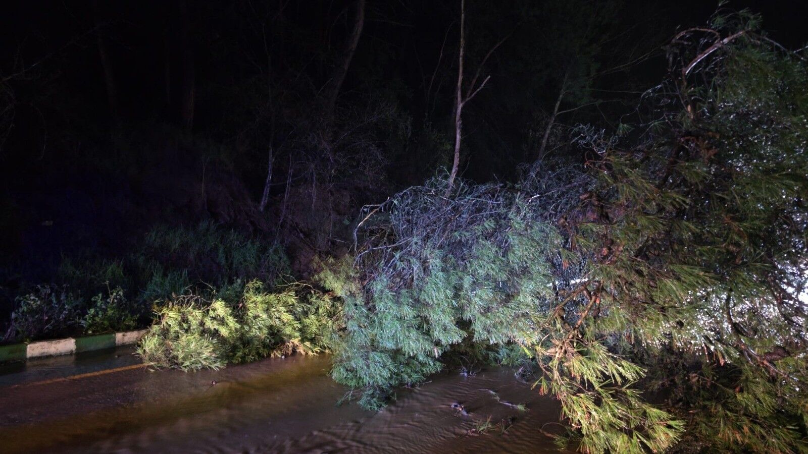 A A 20260328 40954196 40954195 M A N I S A S A L I H L I D E S A G A N A K H A Y A T I O L U M S U Z E T K I L E D I