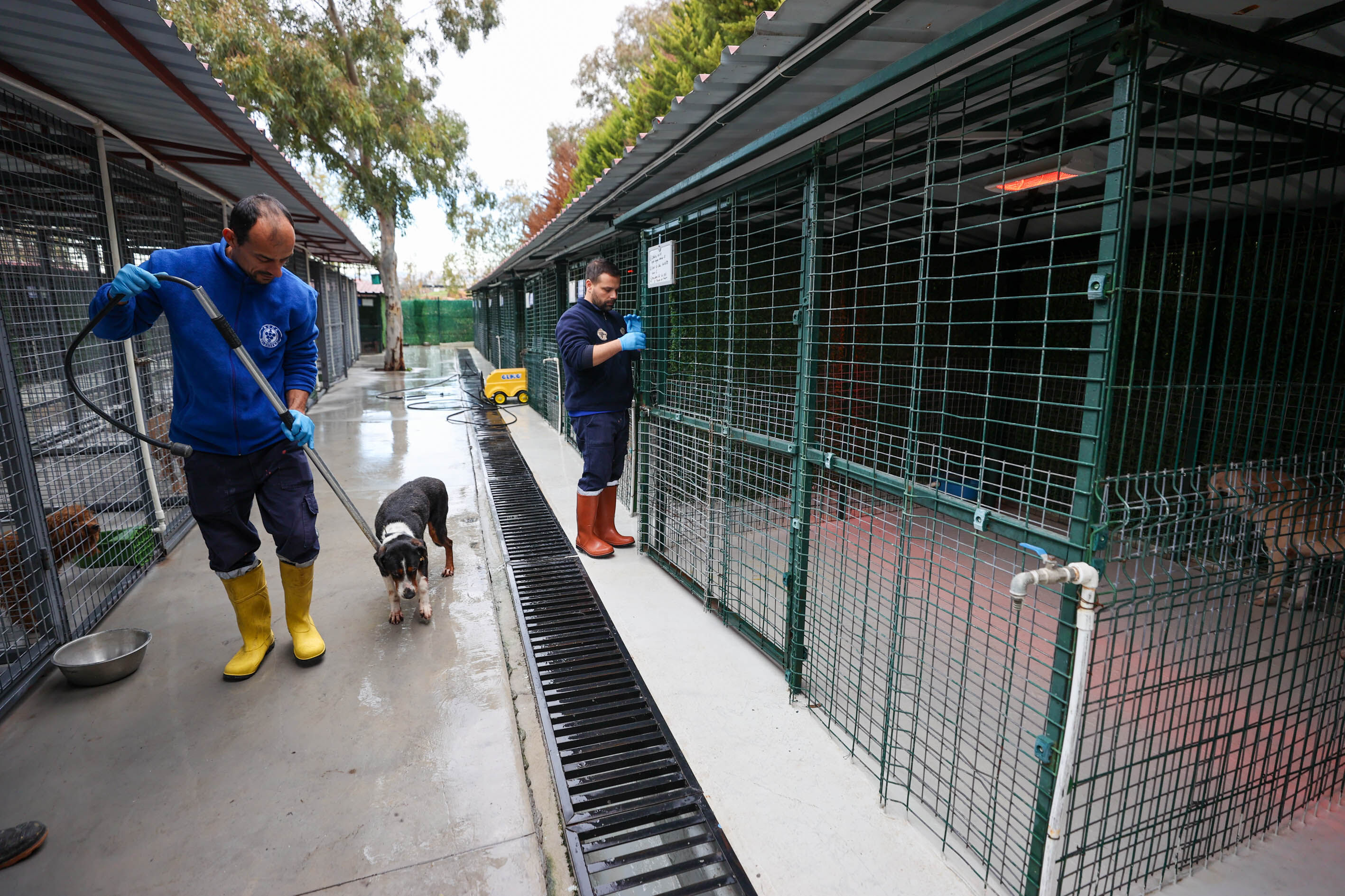 Buca'da can dostlara beş yıldızlı bakım-1