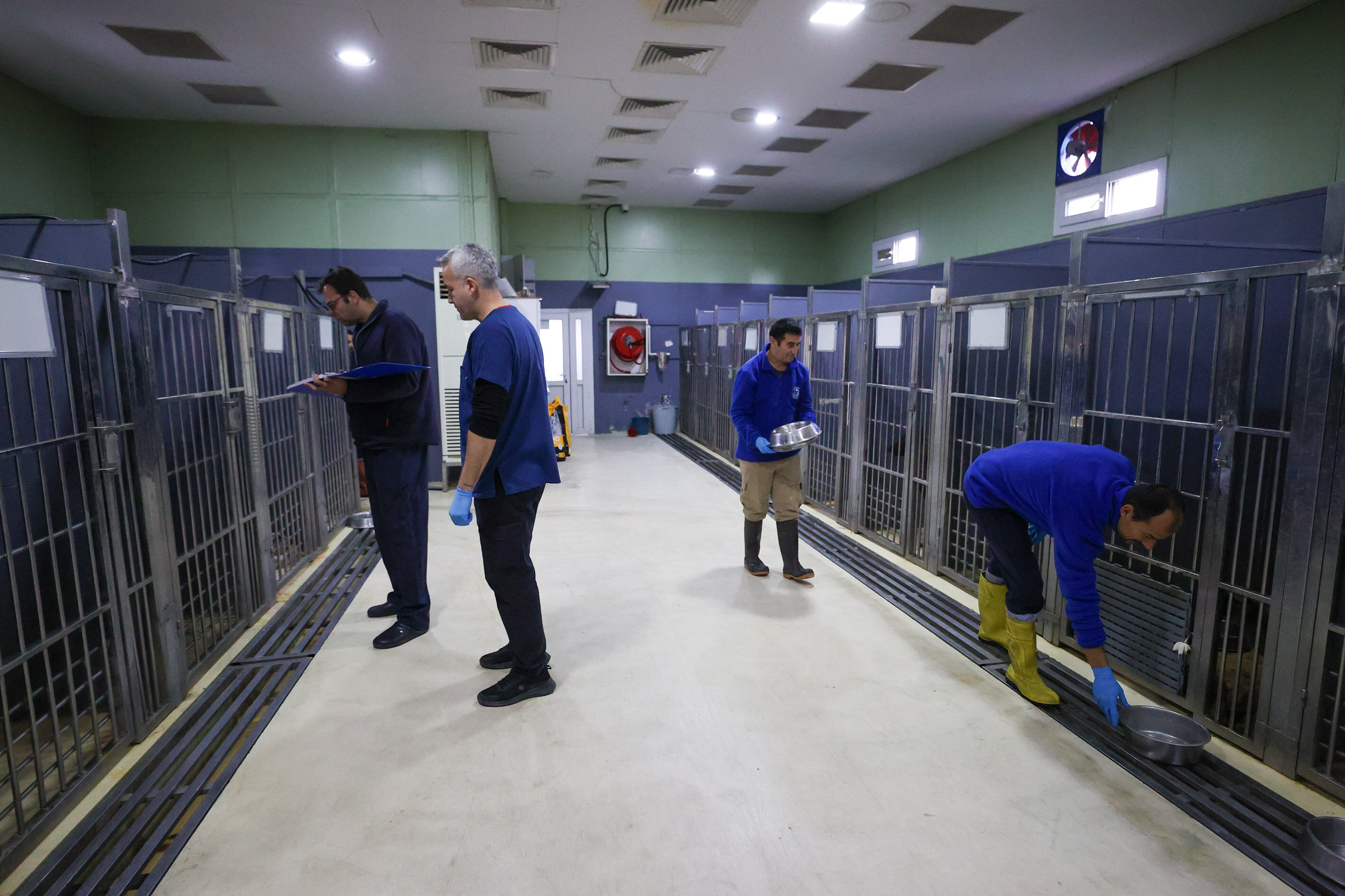 Buca'da can dostlara beş yıldızlı bakım-2