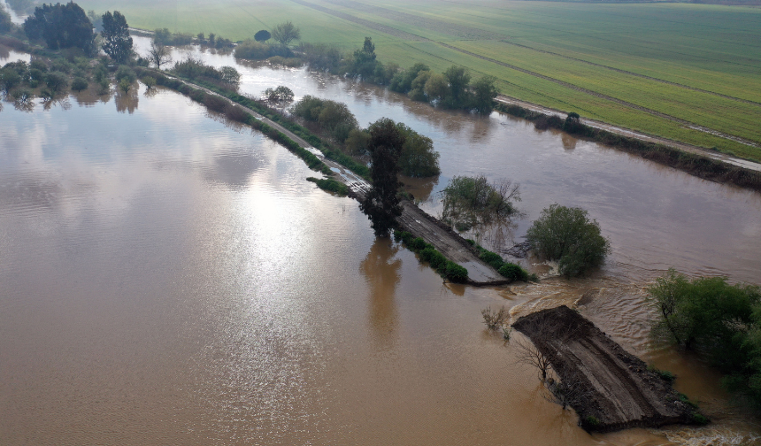 Ceylan Ertem 1708352806-1