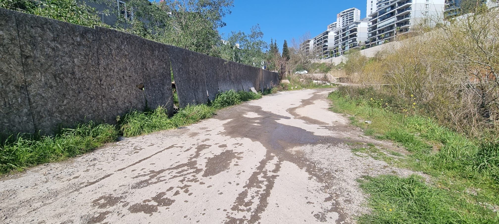 D64736E4 85A4 48E1 A242 460Eca62A40D