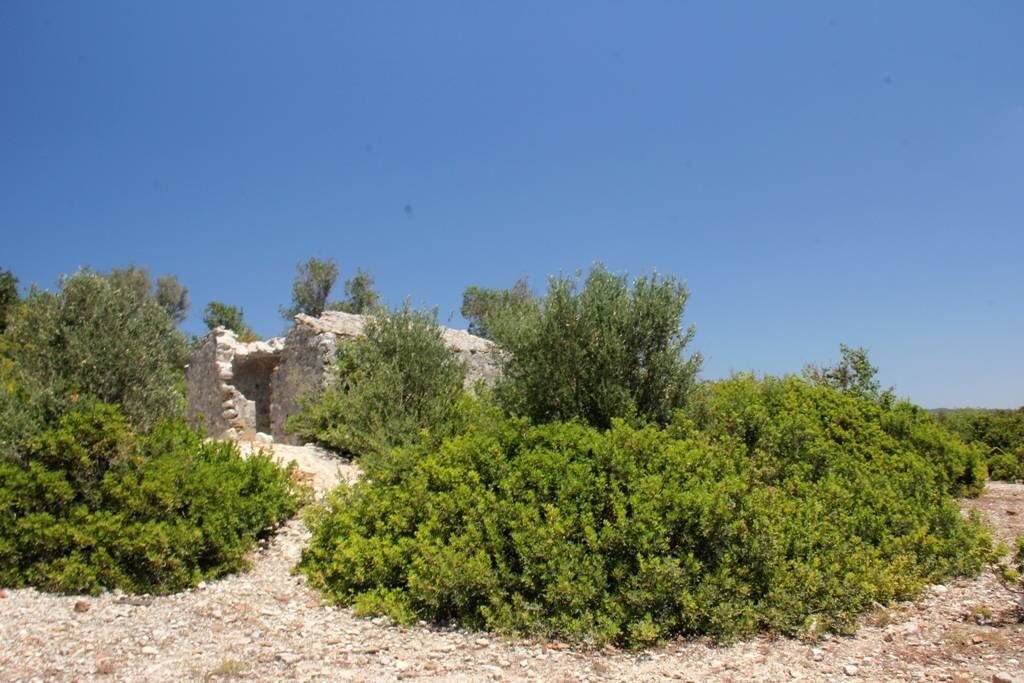 İzmir’de Gizem Ve Güzellik Bir Arada Yılanlı Ada’nın Ilginç Hikâyesi (4)