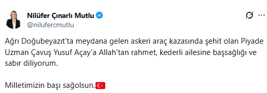 Nilüfer Çınarlı Mutlu-1