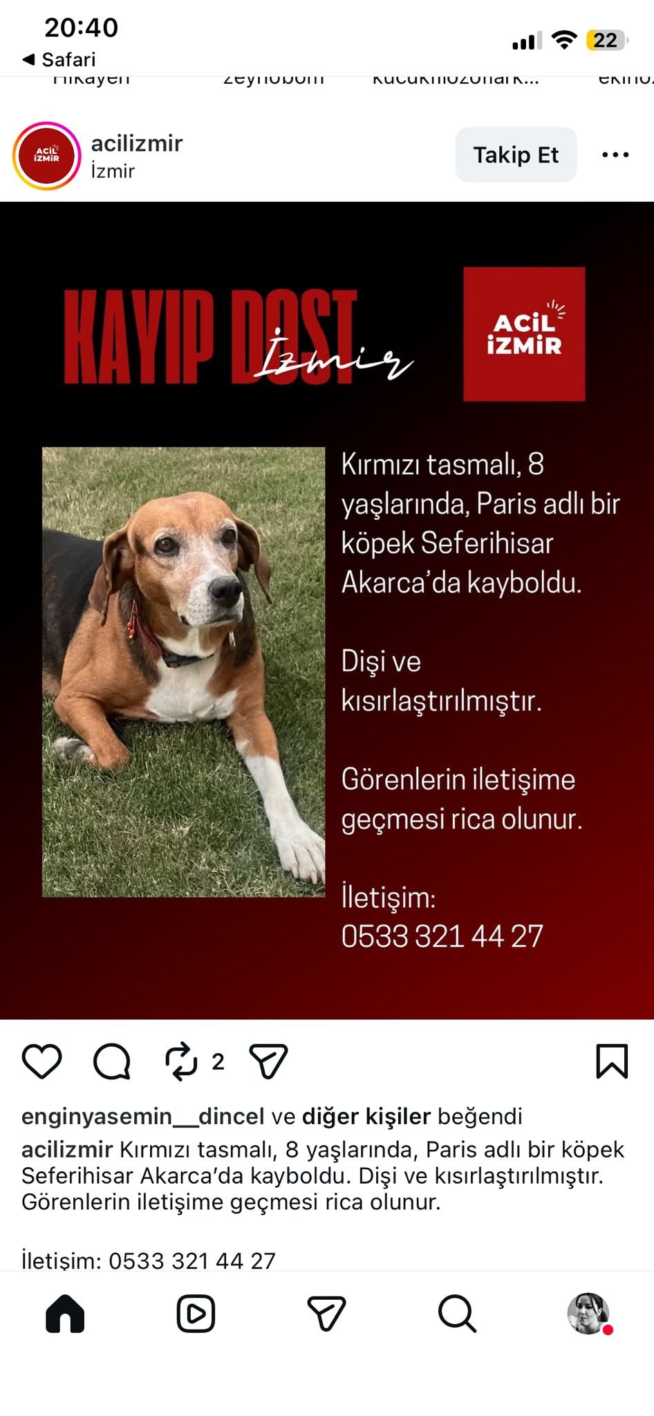 Seferihisar’da esrarengiz kayıplar: Çipli köpekler ortadan kayboldu!