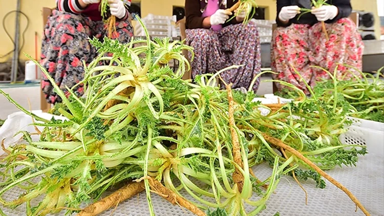 5B6F01930F25431Ebc3Da36B