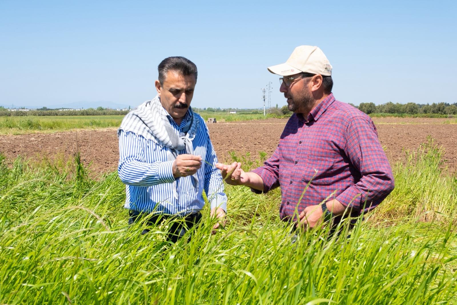 Dikili’de sezon başladı: İlk sürümü Başkan Kırgöz’den