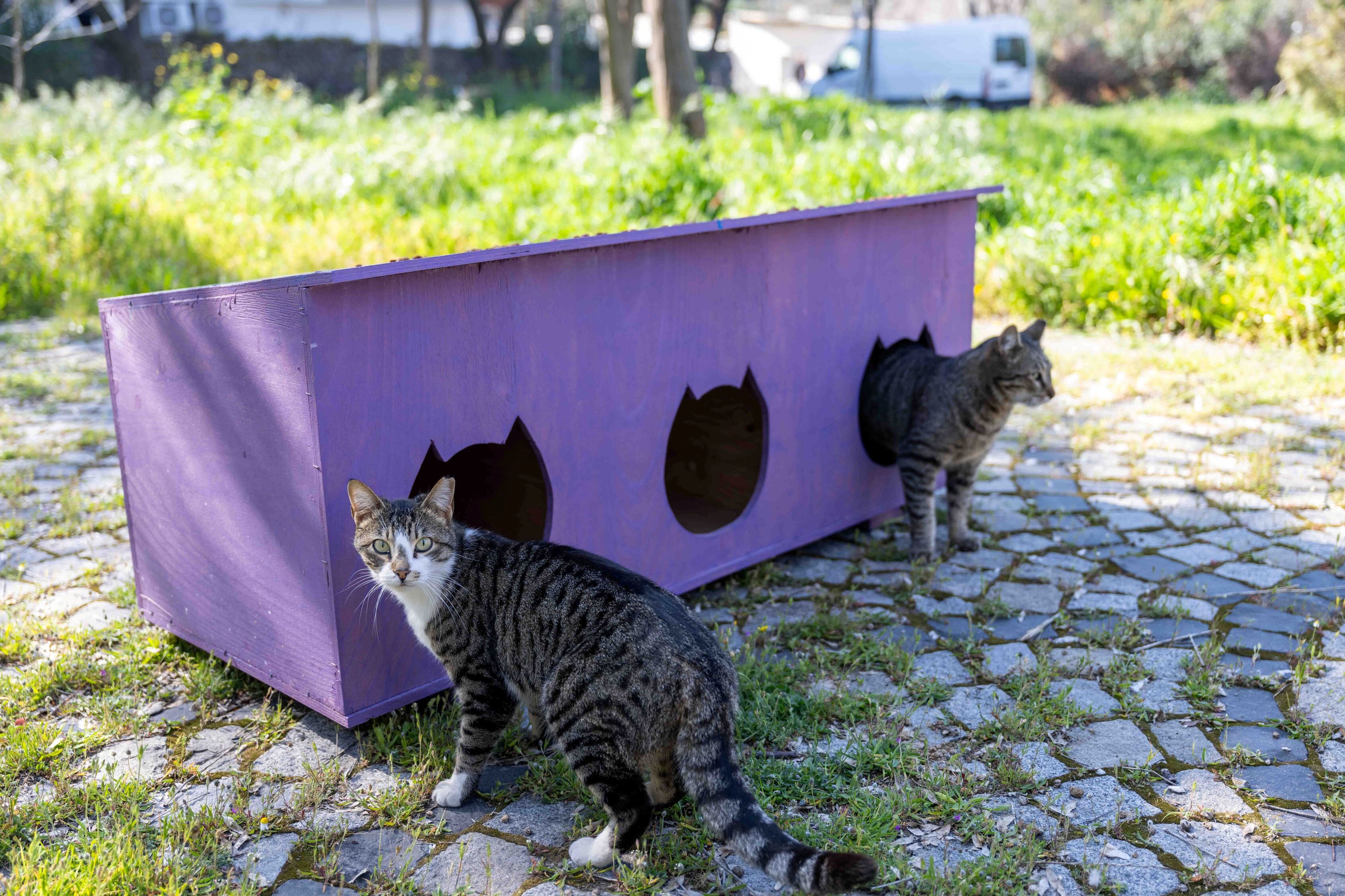 Bornova artık daha ferah: Paterson Köşkü çevresi yeniden düzenlendi