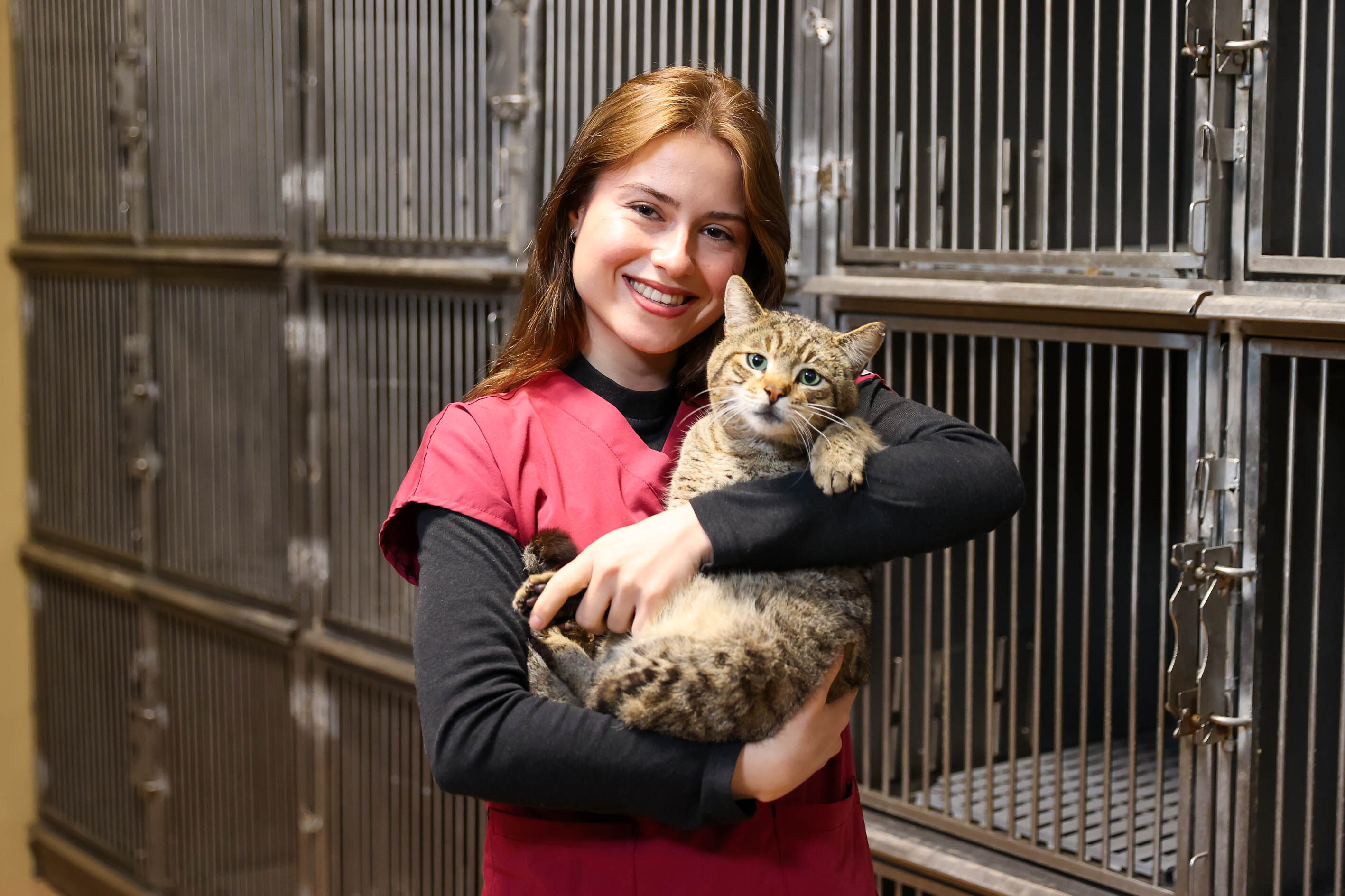 Buca’da 599 patili dost sıcak yuvaya kavuştu: Başkan Duman’dan hayvanseverlere çağrı-1